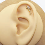 Load image into Gallery viewer, Flowers Internally Threaded Labret Piercing/ 16g Cartilage Tragus Stud Forward Helix Flat Back Earring Stainlesss Steel