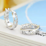 Load image into Gallery viewer, Wholesale 925 Sterling Silver Earrings Inlaid With Zircon Crystal Earrings For Women Wedding Jewelry Gifts