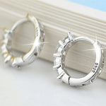 Load image into Gallery viewer, Wholesale 925 Sterling Silver Earrings Inlaid With Zircon Crystal Earrings For Women Wedding Jewelry Gifts