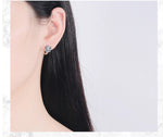Load image into Gallery viewer, Fanqieliu Fashion Jewelry Luxury 925 Sterling Silver Square Crystal Hoop Earrings For Women New FQL20512