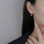 Load image into Gallery viewer, Fanqieliu 925 Silver Needle Crystal Zircon Moon Star Drop Earrings For Woman New Jewelry Fashion FQL23561