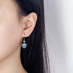 Load image into Gallery viewer, Fanqieliu 925 Silver Needle Crystal Heat Drop Earrings For Women 2023 New Jewelry Girl Gift Trendy FQL23035