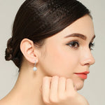 Load image into Gallery viewer, Fanqieliu 925 Silver Needle Lady's Fashion Jewelry New Crystal Zircon Shambhala Beads Drop Earrings FQL23531
