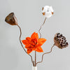 Lotus Root Flower Real Natural Dried Flowers Home Ornament Decor Crafts Christmas New Year Wedding Table Decoration Accessories