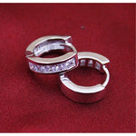 Load image into Gallery viewer, New Stainless Steel Hoops Earrings for Men Silver Color Crystal Earring Man Punk Style Cubic Zirconia Jewelry Male Accessories
