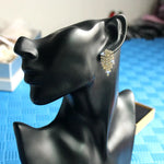 Load image into Gallery viewer, Fashion wild highend full rhinestone tassel ladies super flash zircon earrings short paragraph bridal earrings wholesale
