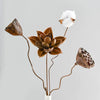 Lotus Root Flower Real Natural Dried Flowers Home Ornament Decor Crafts Christmas New Year Wedding Table Decoration Accessories