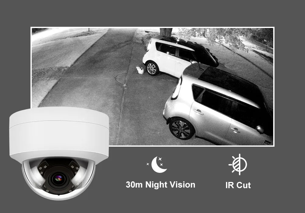 Anpviz 5MP IP Camera Outdoor POE Dome Security Protection Built-in Microphone IP66 IR 30m CCTV Video Camera H.265 Danale APP P2P