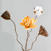 Lotus Root Flower Real Natural Dried Flowers Home Ornament Decor Crafts Christmas New Year Wedding Table Decoration Accessories