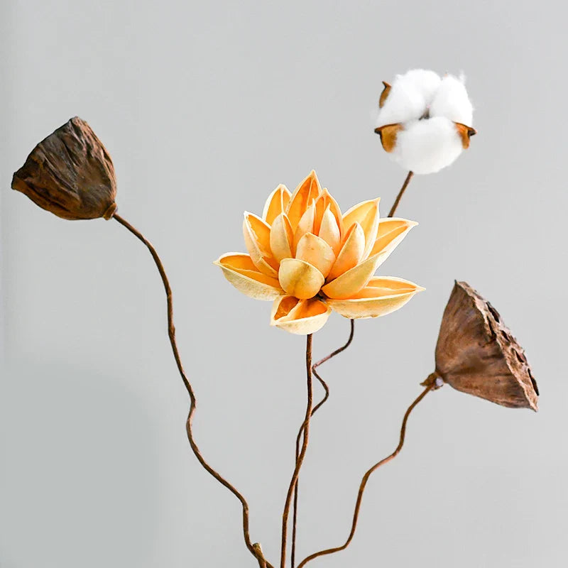 Lotus Root Flower Real Natural Dried Flowers Home Ornament Decor Crafts Christmas New Year Wedding Table Decoration Accessories