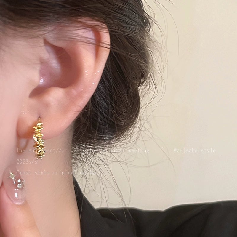 Niche Style Small Pieces of Silver Women's Fancy Best Selling Elegant Stud Earrings