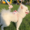 Hello Kitty Pet Harness Anime Sanrio Traction Rope Adjustable Applicable To Small Medium Dogs Cat Harness Vest Pets Accessories