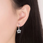 Load image into Gallery viewer, Fanqieliu 925 Silver Needle Woman's High Quality Crystal Jewelry Trendy Zircon Star Drop Earrings New FQL23570
