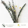 Natural Dried Flowers Eucalyptus Leaf DIY Cotton Flower Bunny Tail Grass Decoration Boho Home Table Accessories Artificial Plant