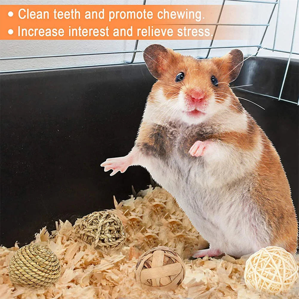 8 Pcs Rabbit Chew Toy Pet Molar Toys Hamster Feeding Treats Guinea Pig Cage Decor Accessories Bunny Balls Snack Small Parrot