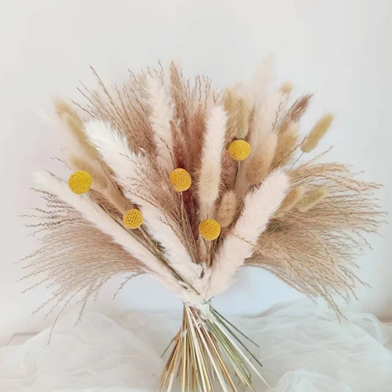 Fluffy Pampas Grass Bouquet Boho Garden Home Decor Natural Real Dried Flowers Nordic Wedding Decoration Party Accessory Props