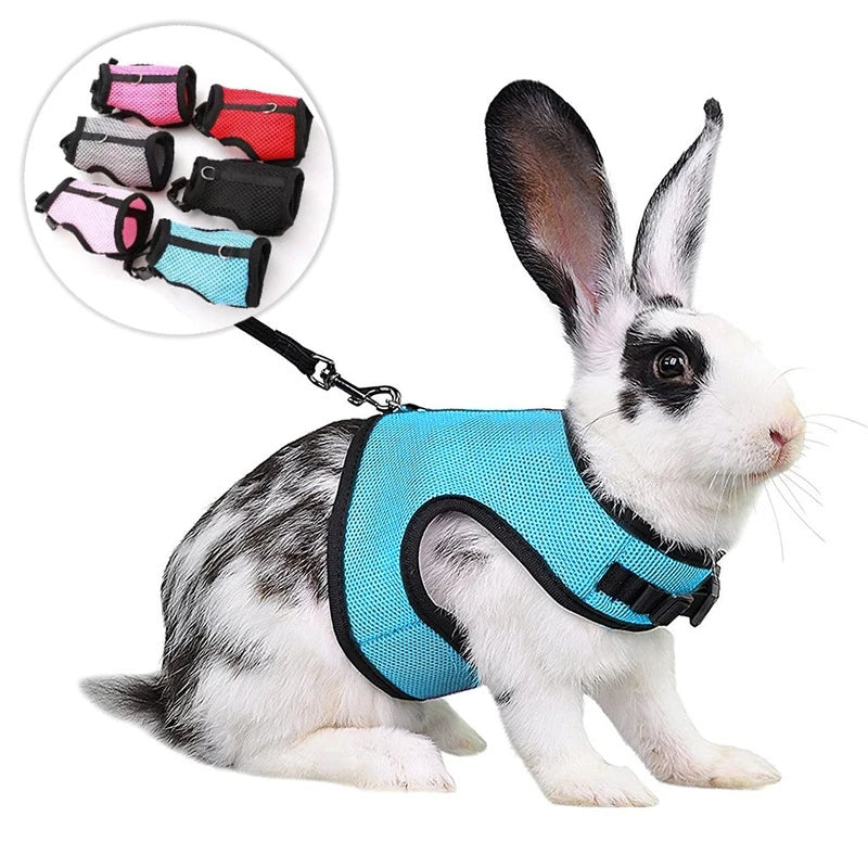 Mutil-Colors Breathable Stylish Vest Small Pet Carrier Bag Adjustable Soft Harness  And Elastic Leash Set For Rabbits