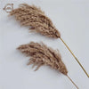 30PCS Natural Fluffy Pampas Dried Flowers Table Decor Accessories Wedding Arrangement Boho Home Decor Bouquet Artificial Flowers