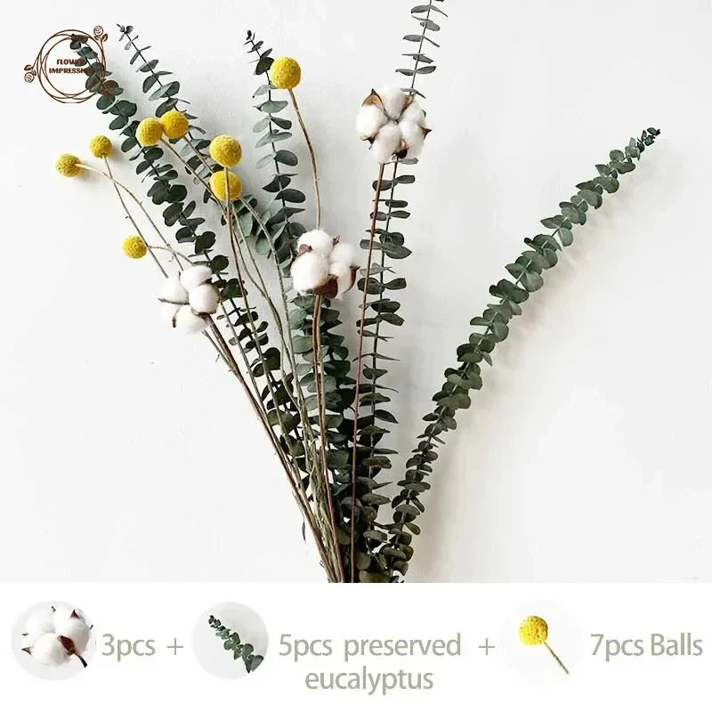 Natural Dried Flowers Eucalyptus Leaf DIY Cotton Flower Bunny Tail Grass Decoration Boho Home Table Accessories Artificial Plant