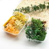 Hot 1 Box Real Dried Flower Dry Plants For Aromatherapy Candle Epoxy Resin Pendant Necklace Jewelry Making Craft DIY Accessories