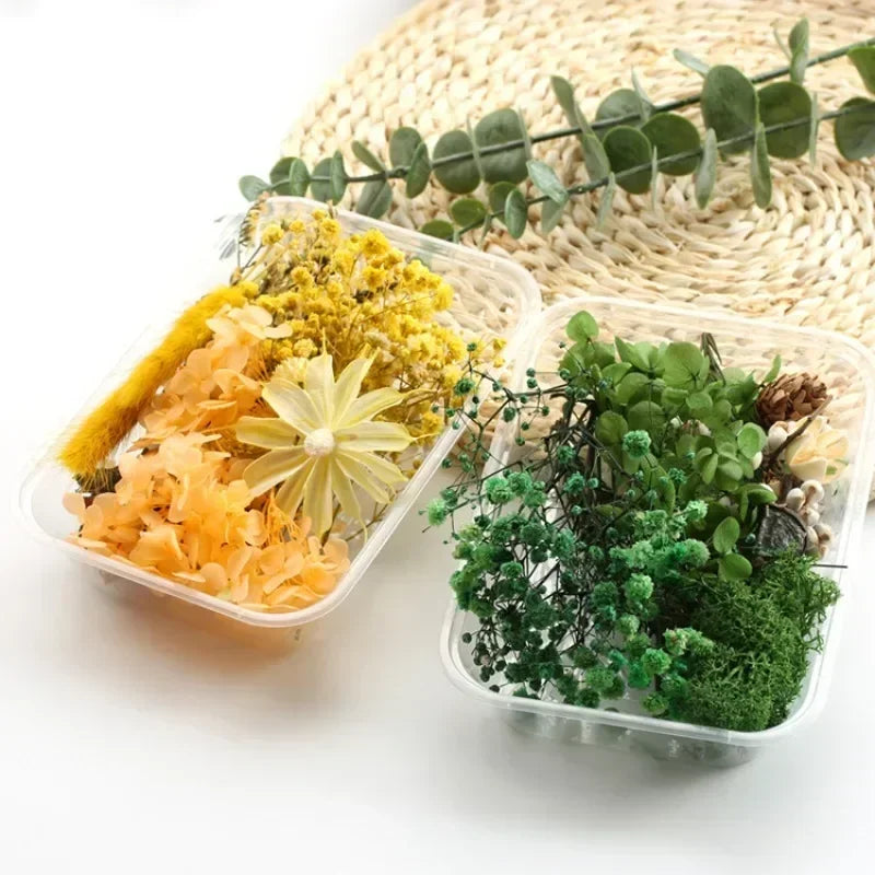 Hot 1 Box Real Dried Flower Dry Plants For Aromatherapy Candle Epoxy Resin Pendant Necklace Jewelry Making Craft DIY Accessories