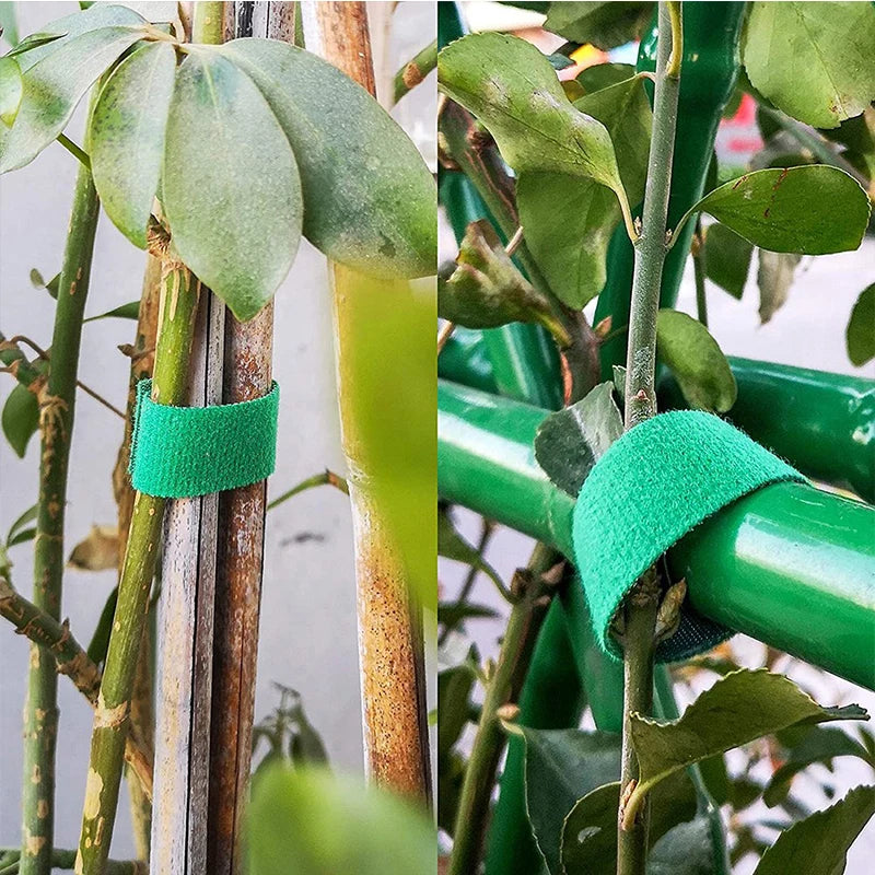 3 Rolls Green Garden Twine Plant Ties Nylon Plant Bandage Garden Hook Loop Bamboo Cane Wrap Support Garden Accessories