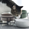 Dogs Food Water Bowls with Stand Ceramic Cat Feeding Accessories Cats Small Pet Eat Drink Supplies Puppy Feeder Ceramic Bowl