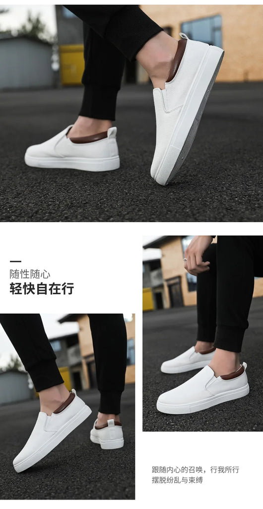 Men Shoes Canvas Sneakers Flats Lace up Leisure Loafers Fashion Comfort Rubber Sole Non Slip Sneakers 45 45 47 48 Large Size