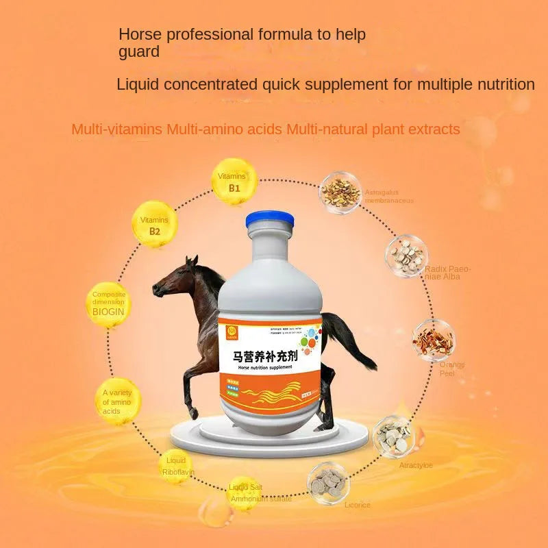 Horse nutrition supplements for horse racing Increase muscle, improve endurance and physical fitness for horses bone growth feed