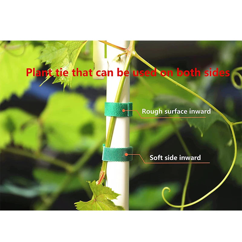 3 Rolls Green Garden Twine Plant Ties Nylon Plant Bandage Garden Hook Loop Bamboo Cane Wrap Support Garden Accessories