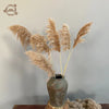 30PCS Natural Fluffy Pampas Dried Flowers Table Decor Accessories Wedding Arrangement Boho Home Decor Bouquet Artificial Flowers