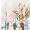 Fluffy Pampas Grass Bouquet Boho Garden Home Decor Natural Real Dried Flowers Nordic Wedding Decoration Party Accessory Props