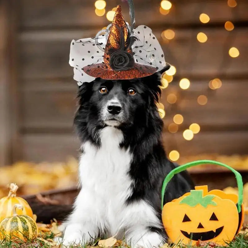 Dog Witch Hat Cosplay Halloween Outfits Witch Hat Photography Props Decorative Pet Cat Halloween Apparel Dog Cosplay Accessories