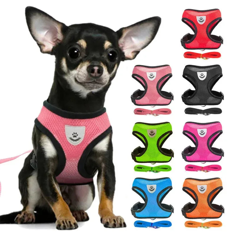 Reflective Dog Harness with Leash Breathable Mesh Pet Harnesses Vest for Small Medium Dog Cat Puppy Chest Strap Pet Accessories