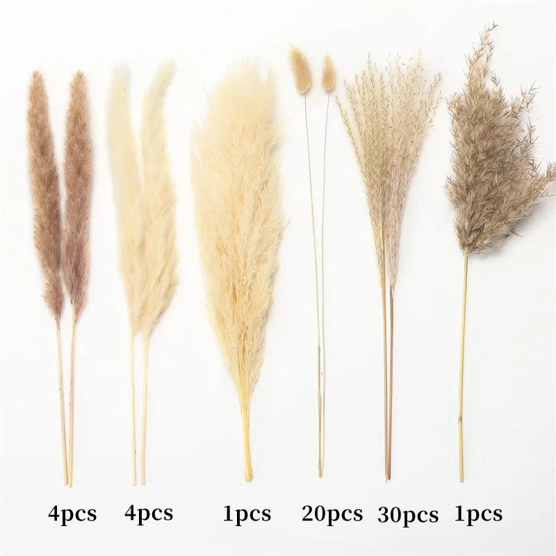 60PCS Dry Flower For Decoration Pampas Grass Boho Home Decor Country Wedding Accessories Deco Dried Flowers Dekoration Pampa