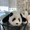 Chinese Fubao Giant Panda Huahua  Kawaii Plush Toy Birthday Gift To Friends And Classmates Home Decor Soft Plush Furry Panda Toy