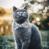 Cat Collar Adorable Pet With Bell Accessories Decorative Kitten Adjustable For Dog Polyester Nylon Cartoon Neck