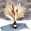 60PCS Dry Flower For Decoration Pampas Grass Boho Home Decor Country Wedding Accessories Deco Dried Flowers Dekoration Pampa