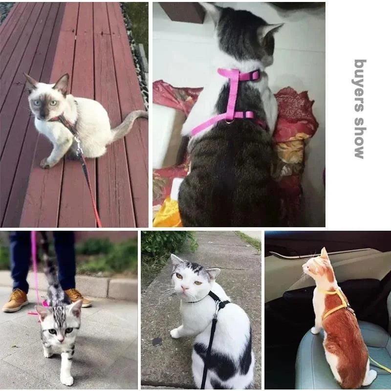 Escape-proof Small Dog Cat Harness Collar with Leash Set H Shape Choke Free Puppy Kitten Harness Soft Nylon Strap Collar for Pet