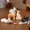 Cute Figurines Miniature Action Toy Cartoon Animal Cat Resin Ornament Micro Landscape Desk Accessories for Decoration Toy Home