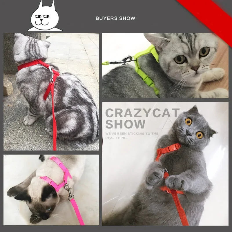 Escape-proof Small Dog Cat Harness Collar with Leash Set H Shape Choke Free Puppy Kitten Harness Soft Nylon Strap Collar for Pet