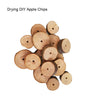 5pcs Apple Chips Grinding Teeth DIY Hamster Toys Wooden Cage Accessories Supplies Amuse Mouse Natural Toy for Small Pets