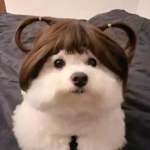 Pet Wig for Dogs & Cats-Adorable Bob Cut Hairstyle Headpiece, Perfect for Small Dogs, Fun Pet Accessory for Dress-Up and Photos