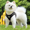 Reflective Dog Harness with Leash Breathable Mesh Pet Harnesses Vest for Small Medium Dog Cat Puppy Chest Strap Pet Accessories