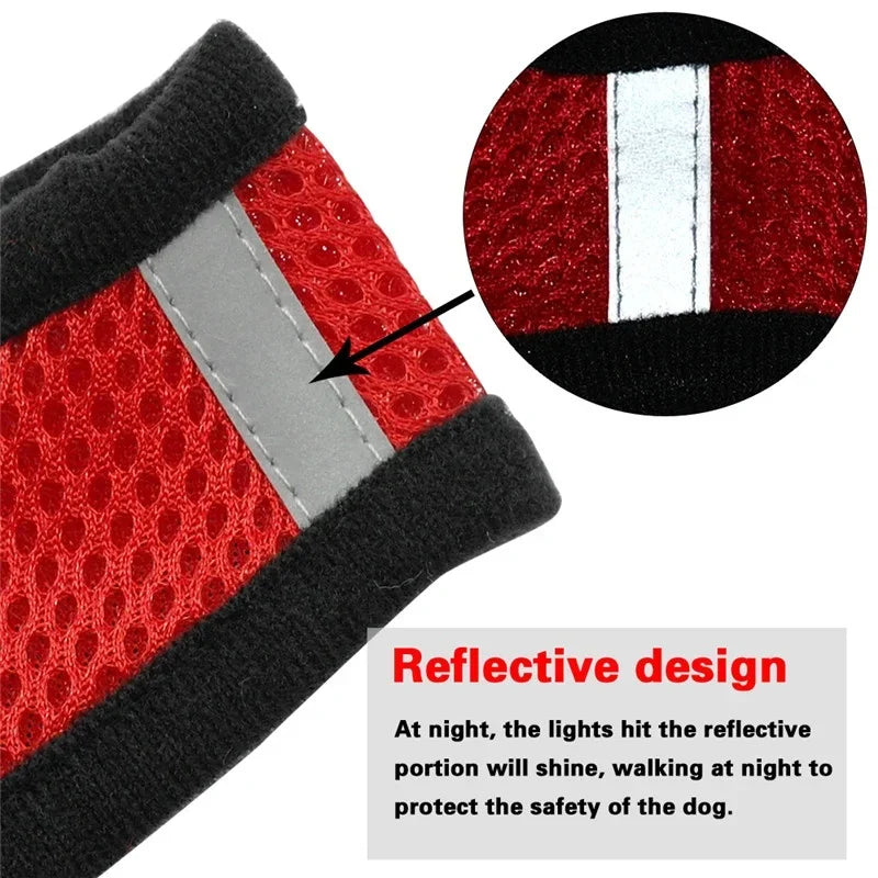 Reflective Dog Harness with Leash Breathable Mesh Pet Harnesses Vest for Small Medium Dog Cat Puppy Chest Strap Pet Accessories