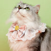 Madden Pet Bib Lace Bowtie Dog Bib Cute Cat Saliva towel Bib Pet Decoration Take Photo Pet Accessories