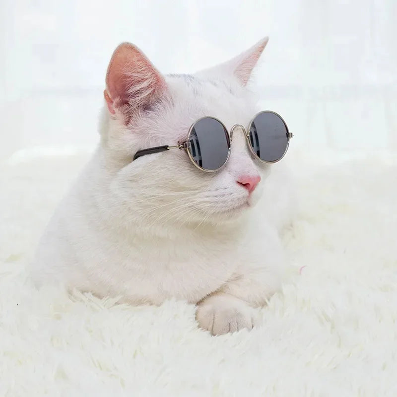 Handsome Pet Cat Glasses Eye-wear Sunglasses For Small Dog Cat Pet Photos Props Accessories Lovely Funny Fashion Glasses