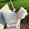 Hello Kitty Pet Harness Anime Sanrio Traction Rope Adjustable Applicable To Small Medium Dogs Cat Harness Vest Pets Accessories