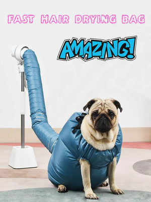 49237218230552|49237218296088|49237218328856|49237218361624