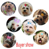 20pcs/lot Pet Dog Cat Hair Bows Mix Color Christmas Dog Hair Bows Rubber Bands Handmade Boutique Pet Grooming Dog Accessories